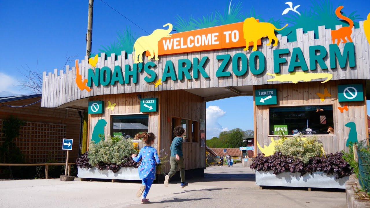 🌞 Your Big Day Out at Noah's Ark Zoo Farm 🌞