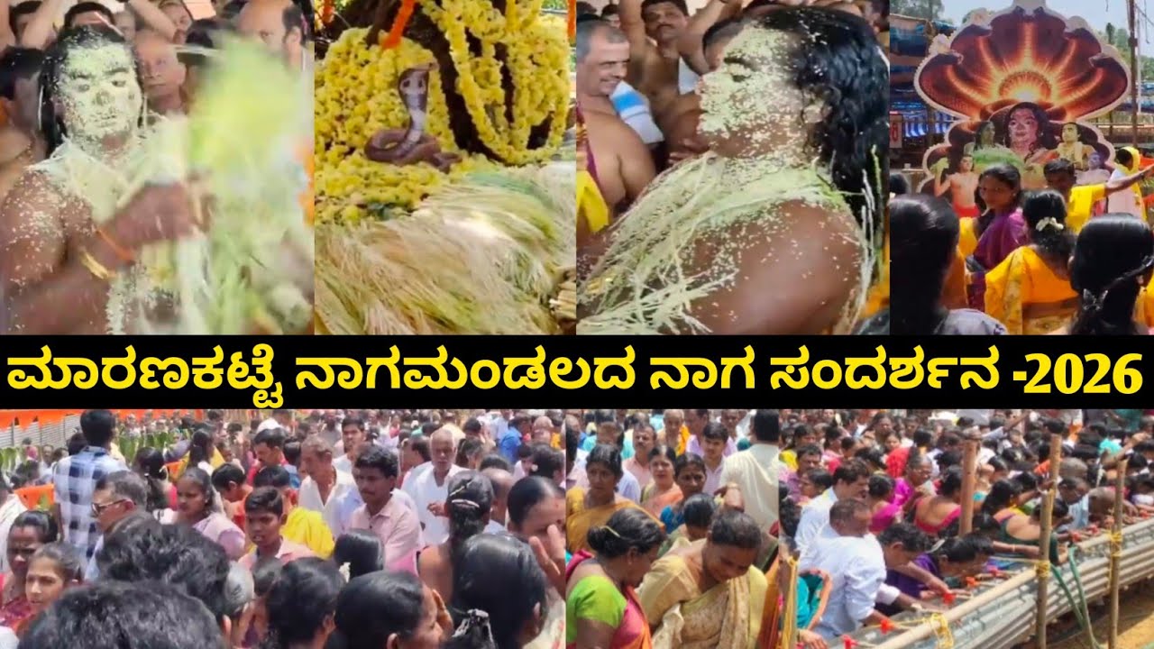 ನಾಗರಹಾವು ಪ್ರತ್ಯಕ್ಷವಾದ ನಾಗಬನದಲ್ಲಿ | 30,000 ಕ್ಕಿಂತ ಜಾಸ್ತಿ ಭಕ್ತಾದಿಗಳ ಆಗಮನ | ಮಾರಣಕಟ್ಟೆ ನಾಗಮಂಡಲದ ವಿಶೇಷ...