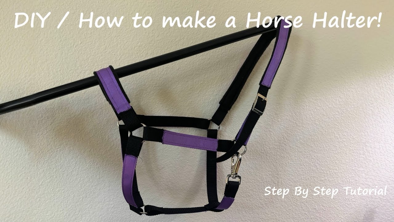 DIY Horse Halter Tutorial | Easy Webbing Halter for Beginners