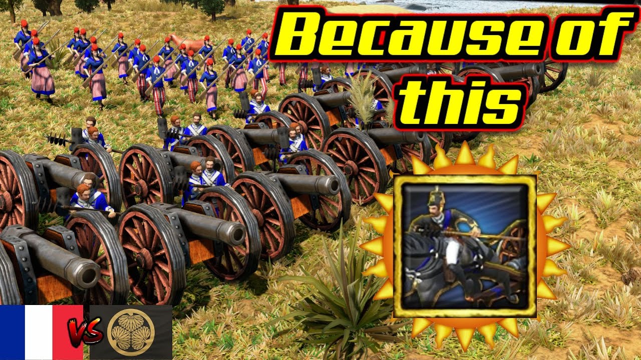 Napoleon revolt has the best Heavy Cannons in the game!!!! AOE3