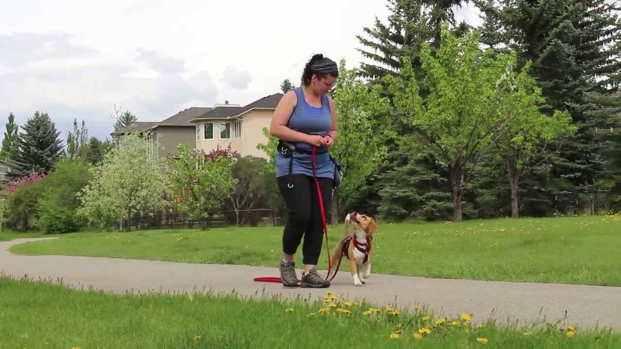 Going For A Walk