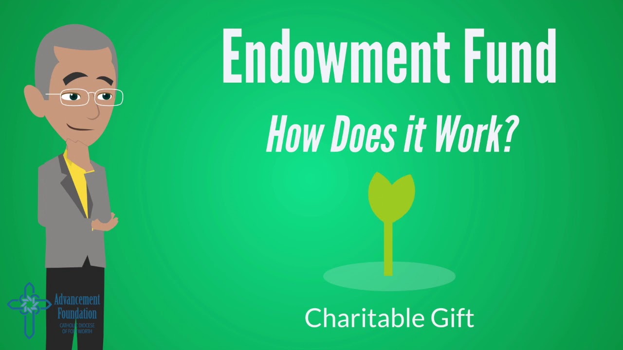 The Advancement Foundation - Endowment Funds