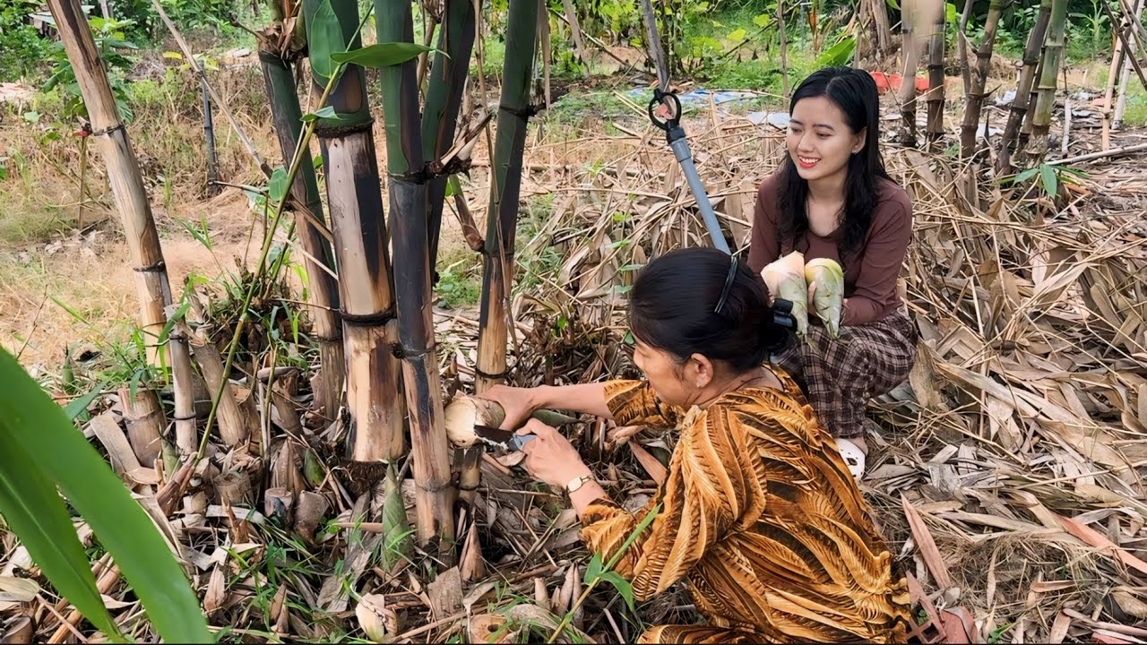 Đốn Măng Mạnh Tông Đầu Mùa Về Xào Ếch Nấu Bữa Cơm Trưa | NĐMT#601
