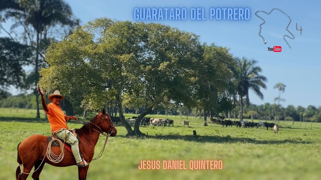GUARATARO DEL POTRERO-Jesús Daniel Quintero- El Tigrito de Matanegra