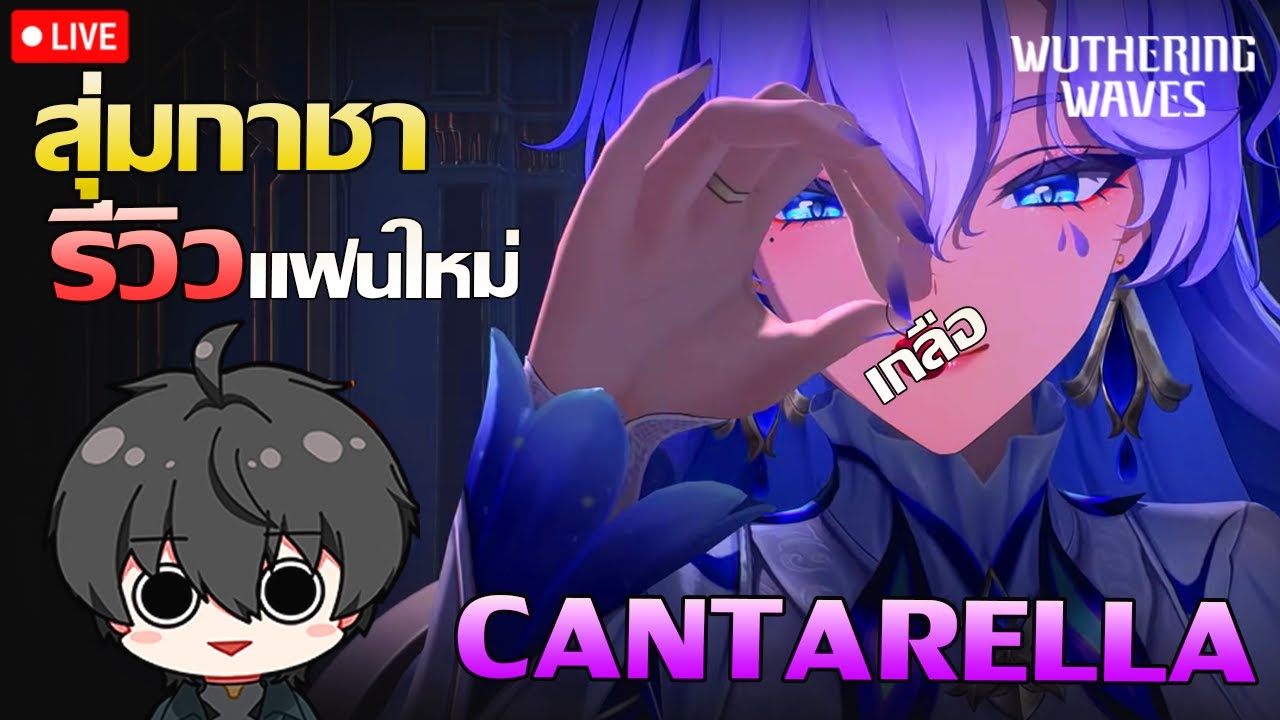 🔴 Live Wuthering Waves | สุ่มกาชา Cantarella และรีวิว  +  อัฟเดทข่าวสารเกมส์!