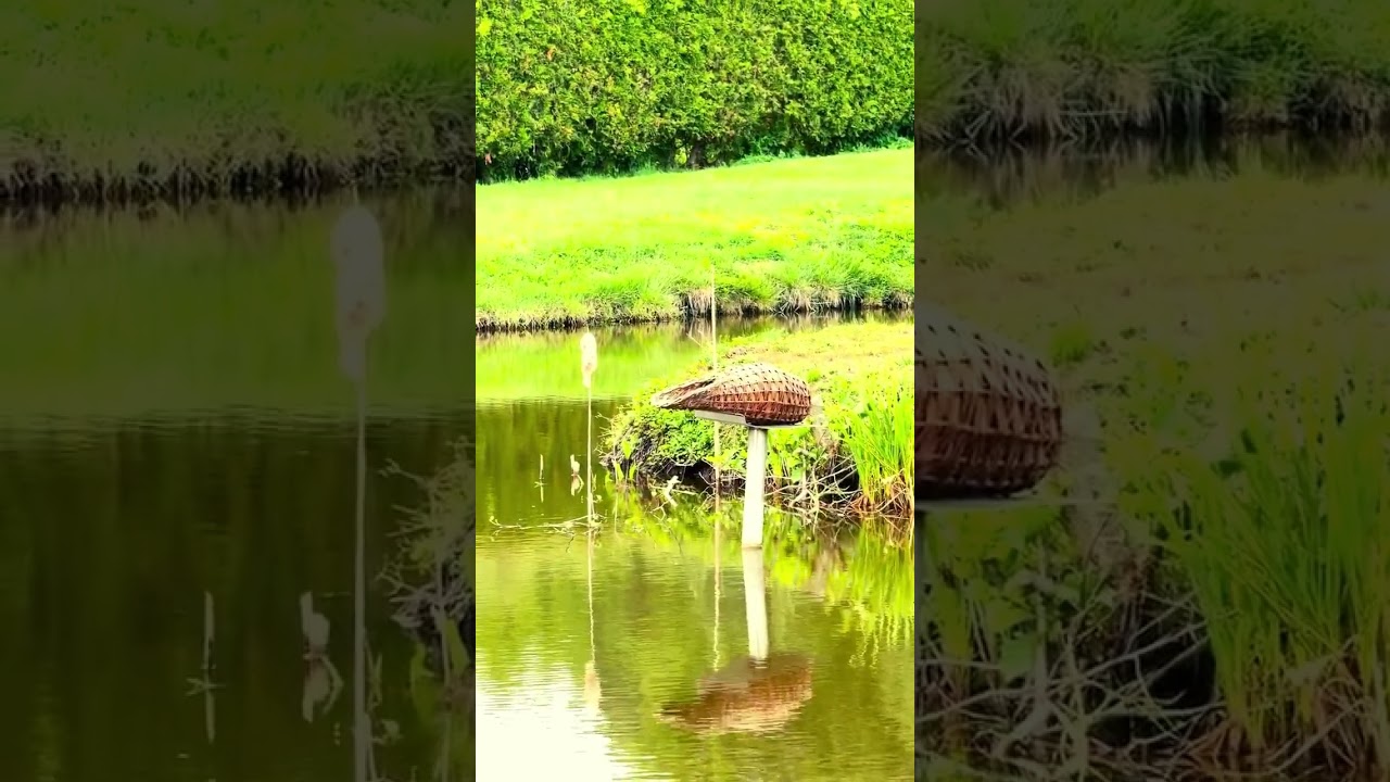 Kniej&oacute;wka stanica łowiecka Ownice Poland-wideo