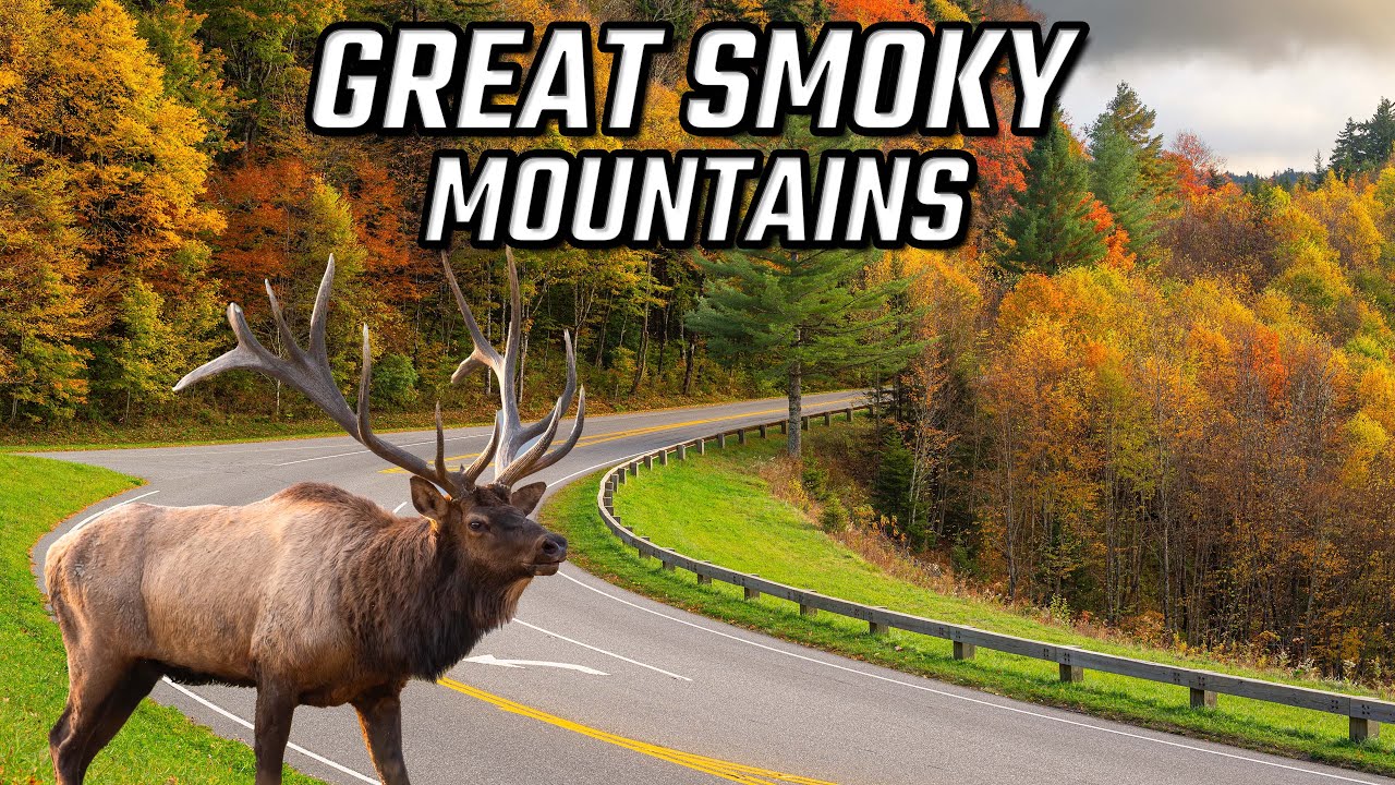 Great Smoky Mountains - Tennessee - North Carolina Driving Through