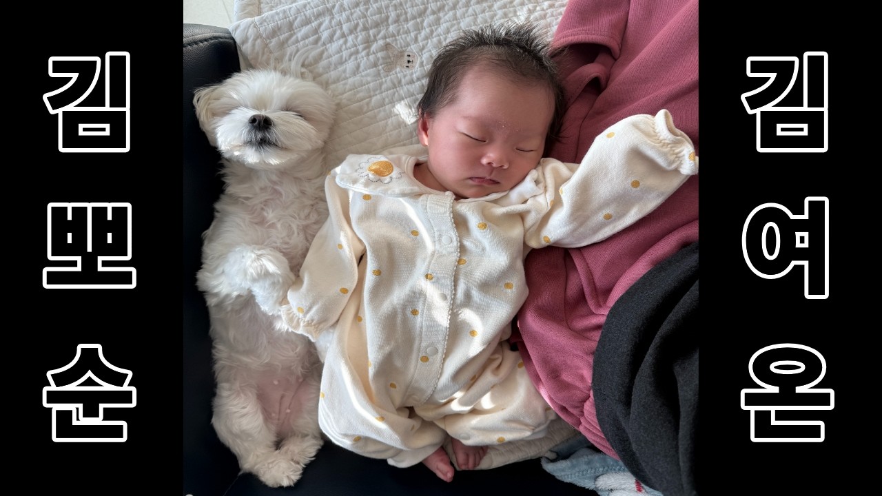 뽀순이 동생이 태어났어요