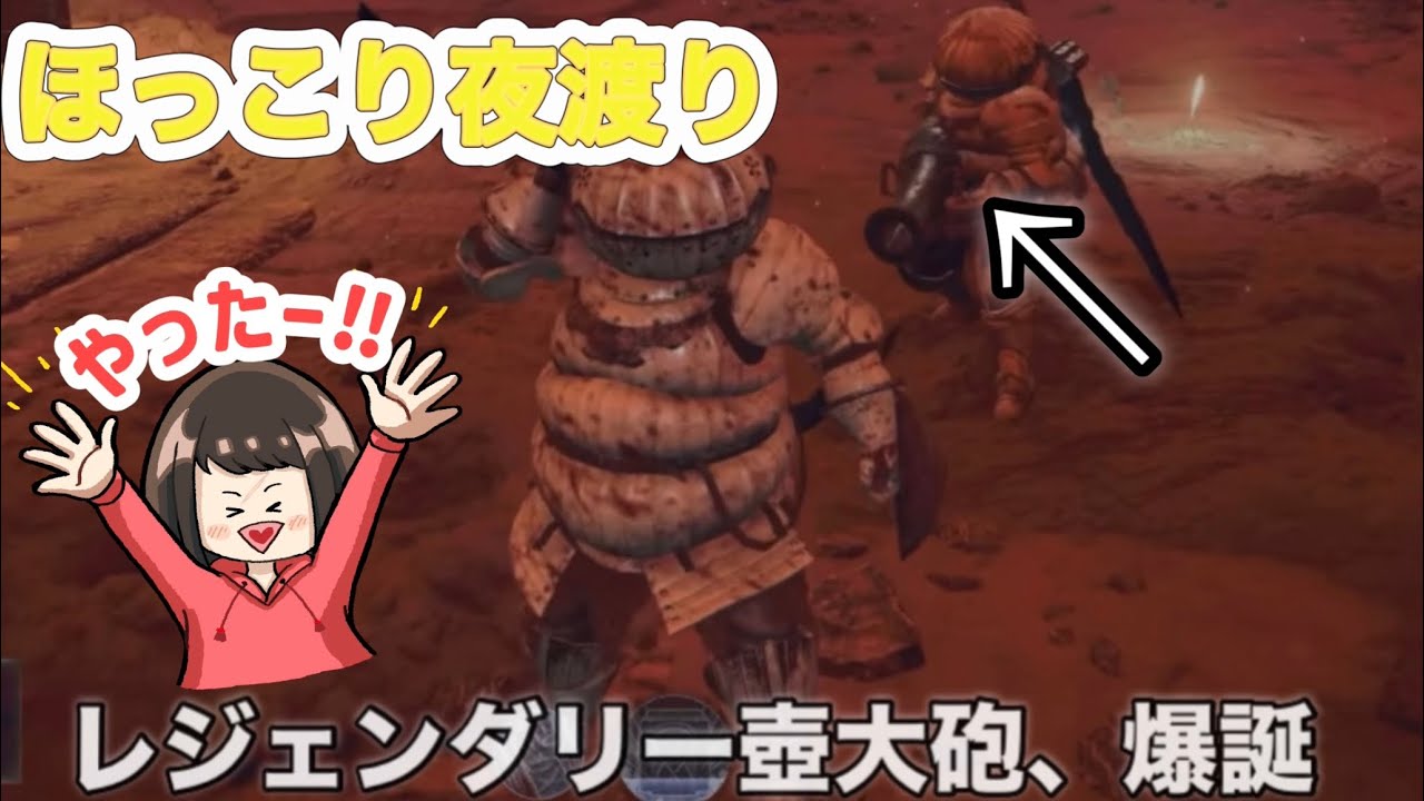 【ナイトレイン】最高にほっこりする夜渡りがこちら！