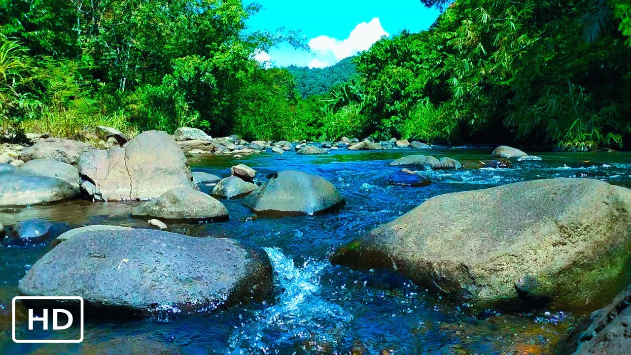 CRYSTAL CLEAR RIVER FLOW ASMR, PERFECT SLEEP, FOCUS & RELAXATION BACKGROUND