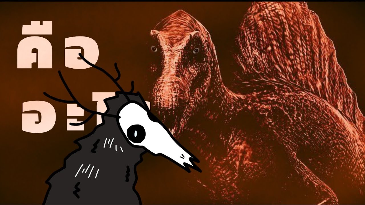 [ SPINOSAURIDAE ] คืออะไร?
