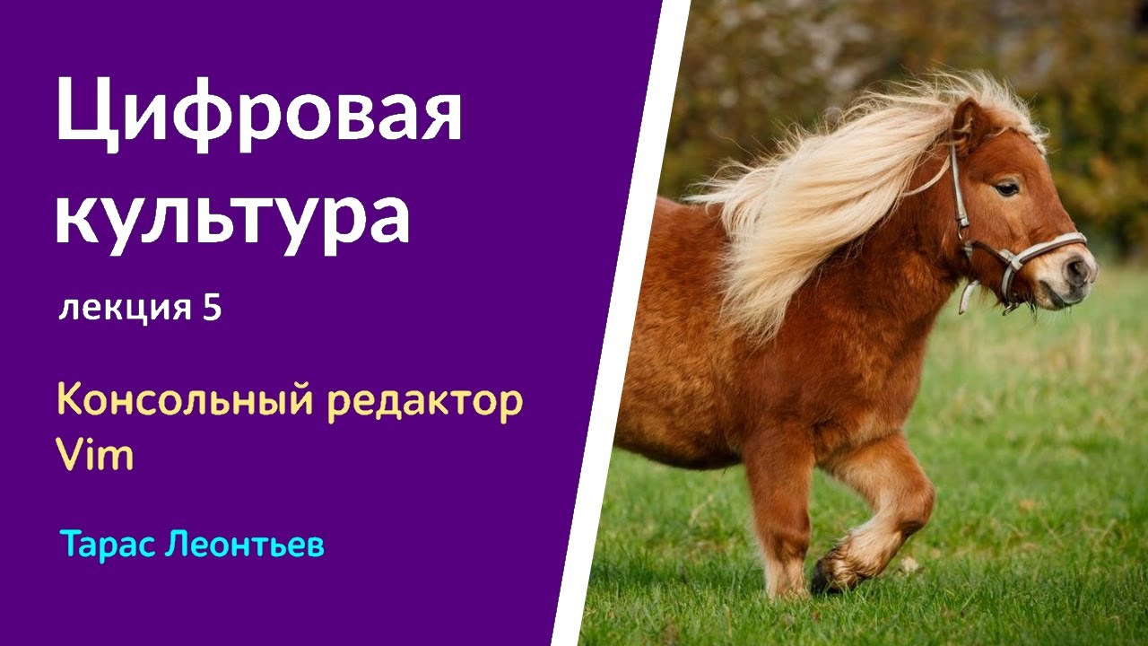 Цифровая культура - y2023 л5 - Тарас Леонтьев - Консольный редактор Vim