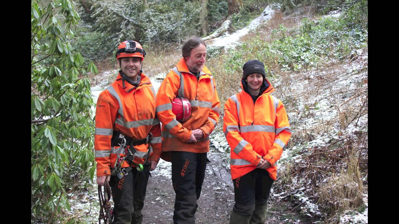 Plumpton College Cragside 2013 Forestry & Arboriculture