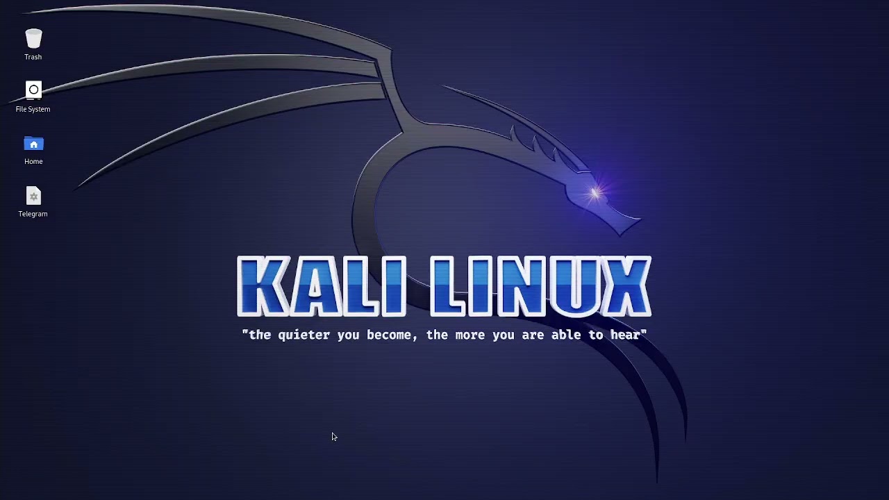 Bash Script