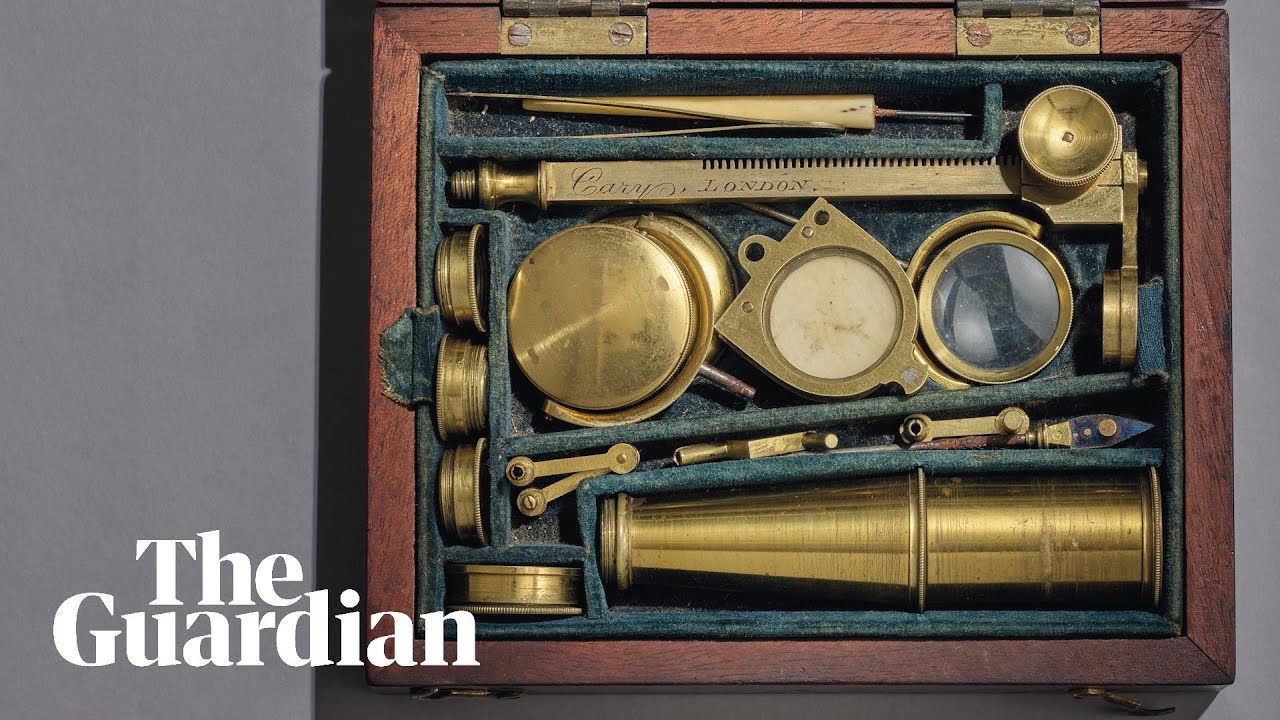 Darwin's lost microscope: the auction of a history-making 'box of brass'