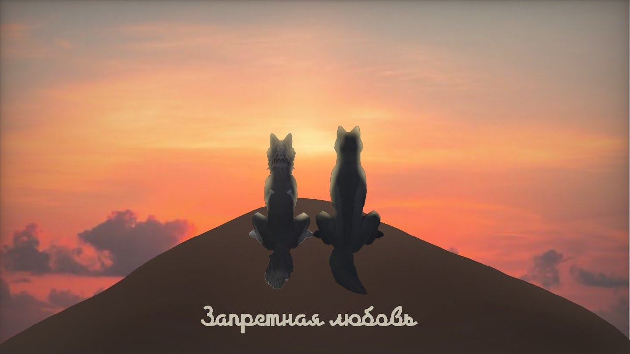 Мини фильм WildCraft ✨Запретная любовь✨