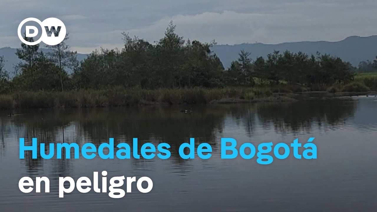 Expansión urbana en Bogotá: un reto entre autopistas y ecosistemas