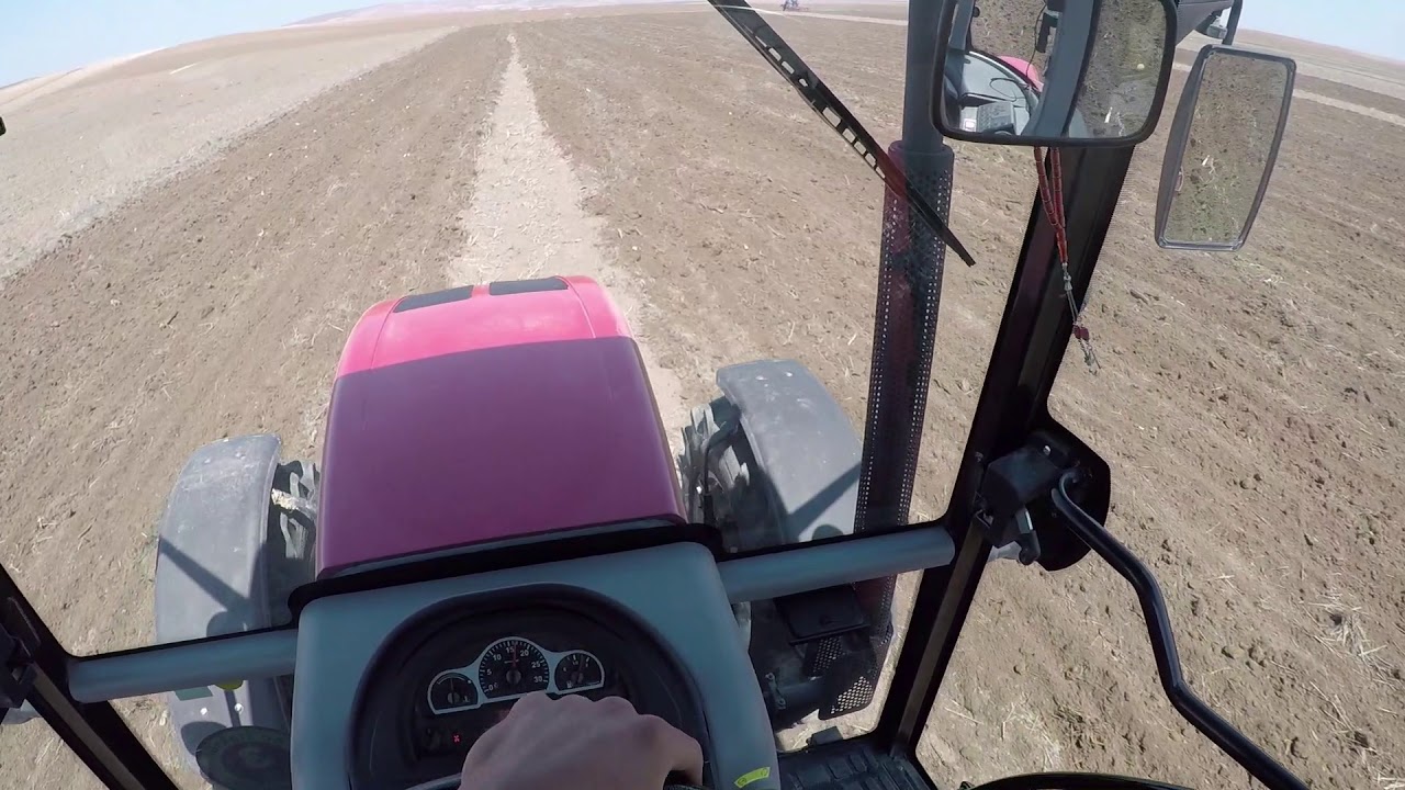 Çekirdek tarlalarına kazayağı çekiyoruz. Erkunt 90 Lüks. New Holland TD75.