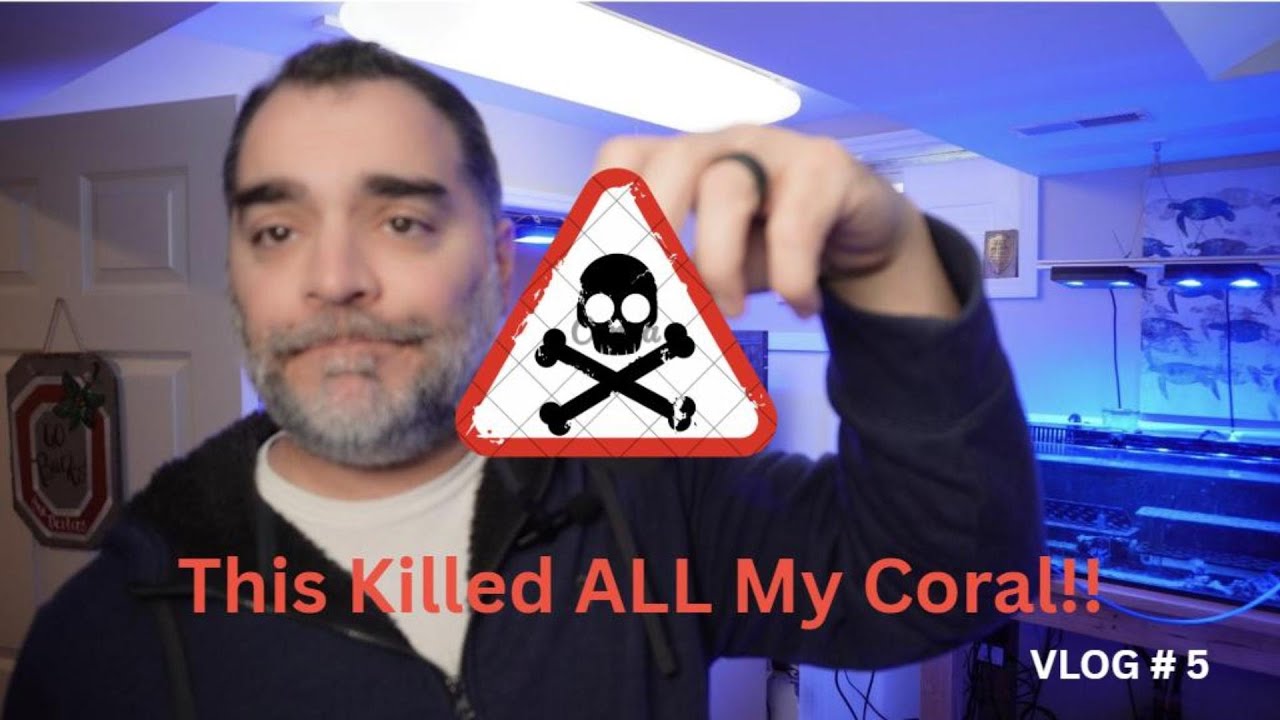 Reef Tank Crash! Vlog #5