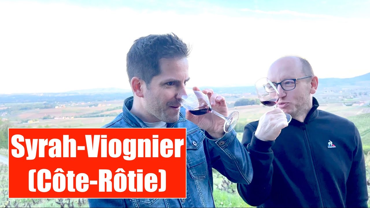 Dégustation vin - Côte Rôtie - Guy Bernard - Dégustation à l'aveugle