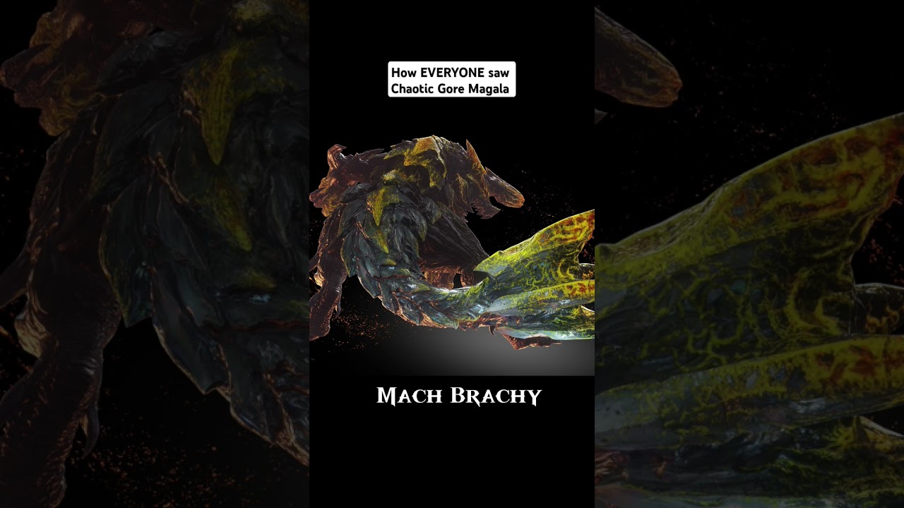 How EVERYONE saw Chaotic Gore Magala 