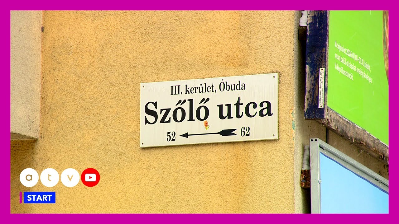 🔒 Szőlő utca OFF