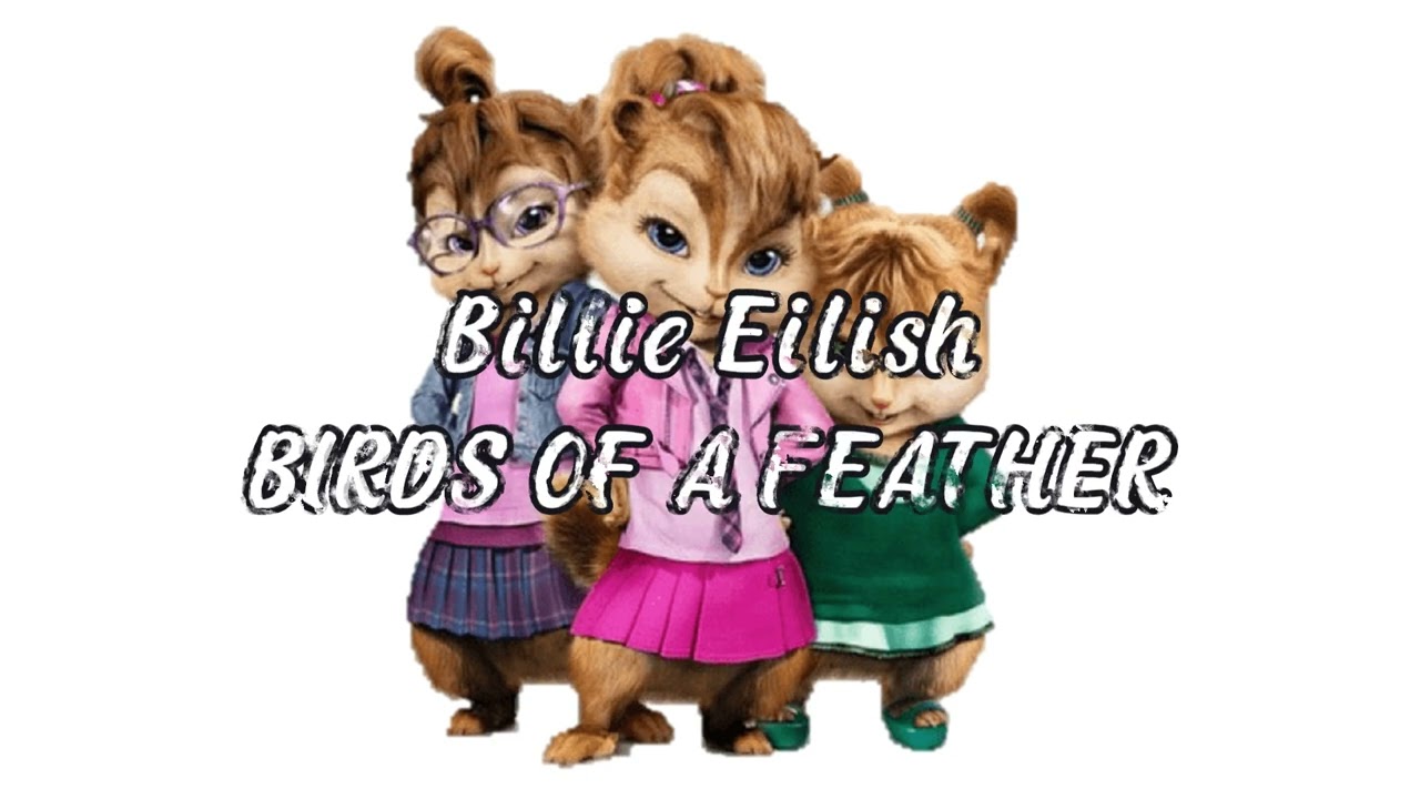Billie Eilish - BIRDS OF A FEATHER (Chipmunk Version)