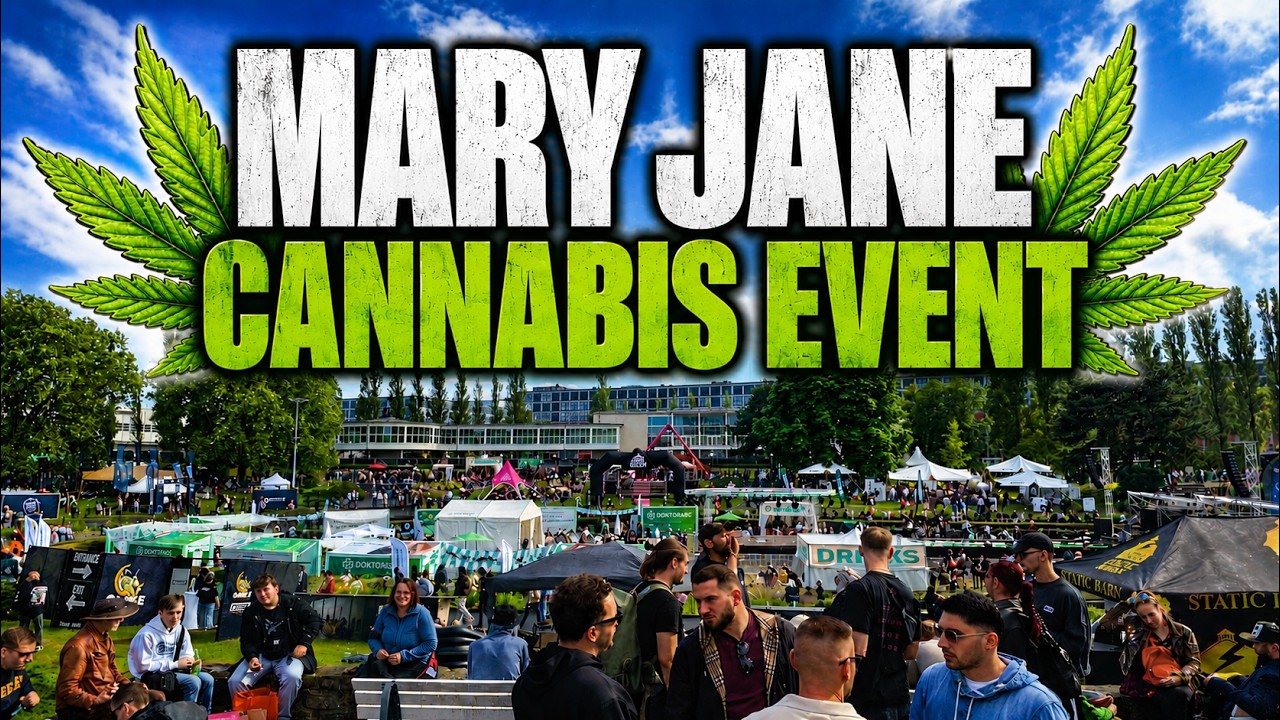 Без модерации организаторами мероприятия Mary Jane EVENT Berlin 💚 2026