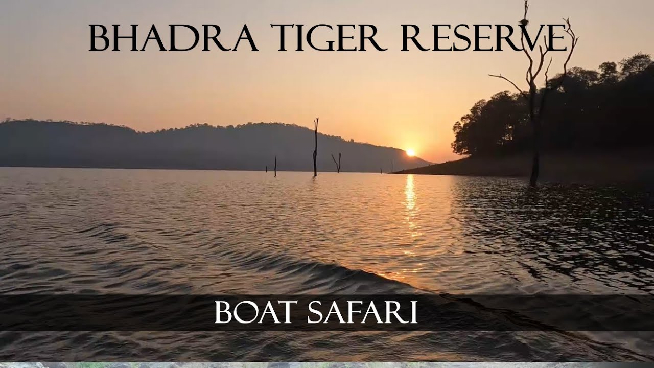 Bhadra Tiger Reserve | Boat Safari | Leopard Sighting