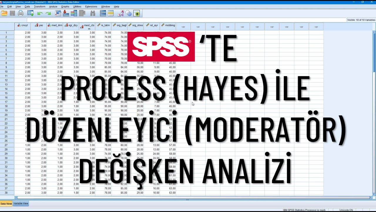 SPSS'te Hayes Process Yöntemi İle Düzenleyici (Moderatör) Değişken Analizi