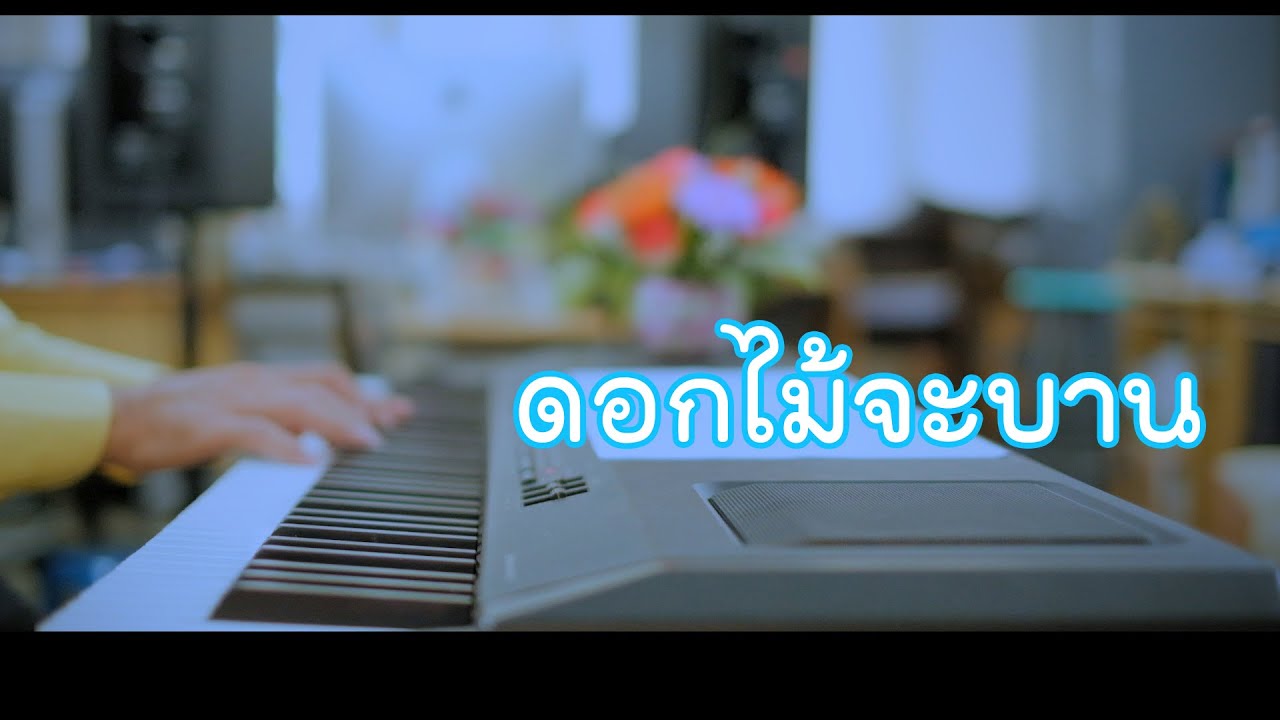 ดอกไม้จะบาน - เปียโนเพราะๆ - เปียโนบรรเลง - Piano Cover by  ธวัชชัย บุญช่วย