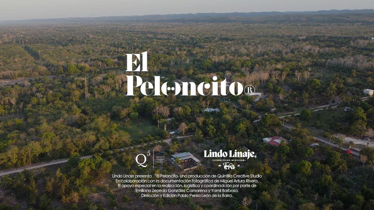 El Peloncito® Documental Cerdo Pelón Mexicano por Quintilla Studio