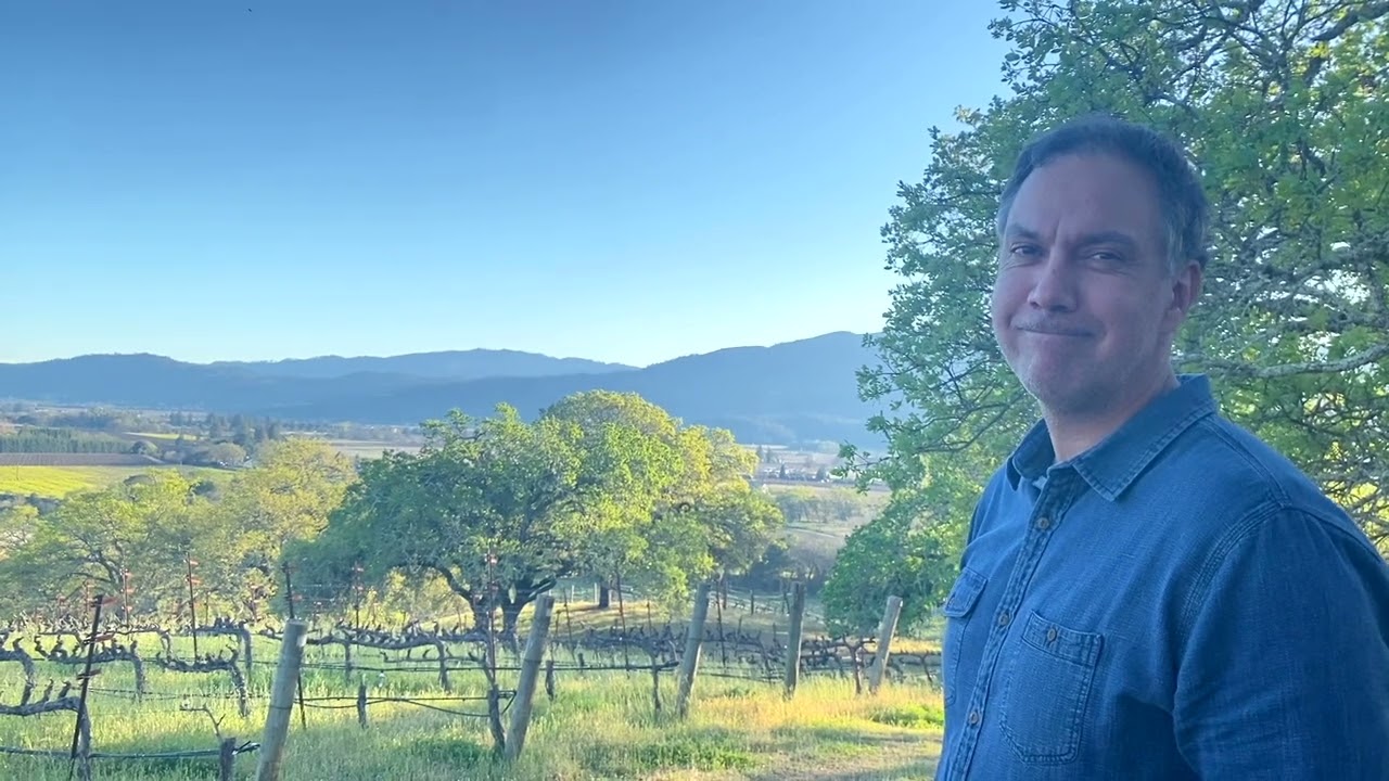 The mosaic terroir of Quintessa in Rutherford, Napa