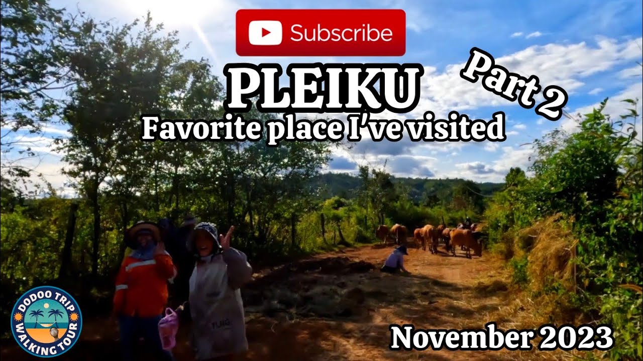 🇻🇳 Pleiku, Vietnam - Driving Tour - Part 2