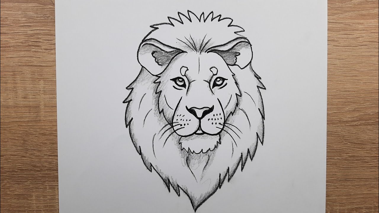 Kolay Aslan resmi nasıl çizilir, Karakalem ile adım adım Aslan resmi çizimi
