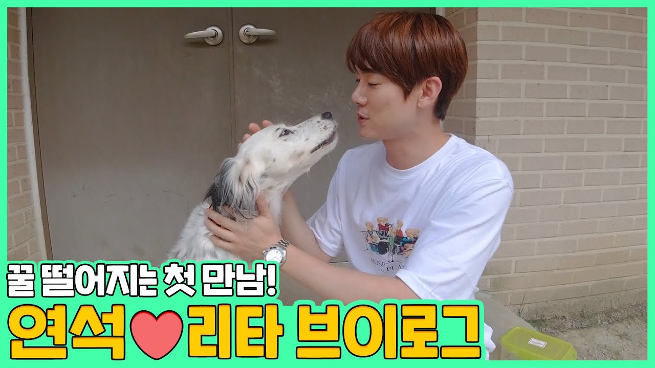 (EN/JP) #vlog 리타 입양 기록🐶 이런 걸 인연이라 하나봐요..💕 │ 주말연석극 EP.38