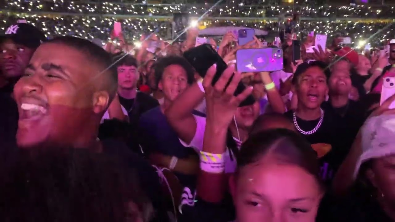Chris brown residuals live performance in South Africa 