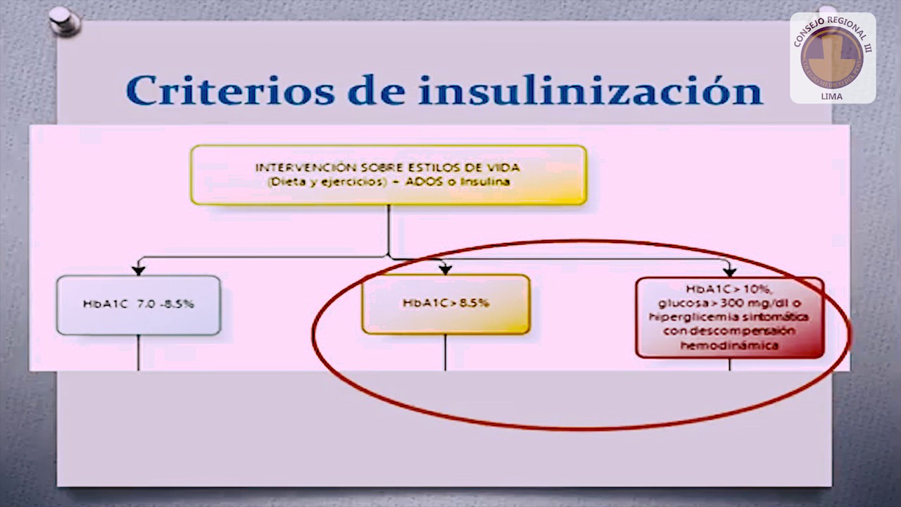 ¿Cómo Insulinizar?