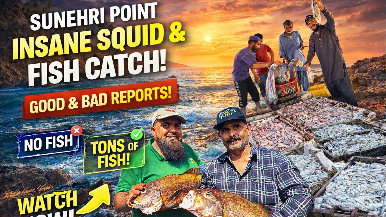 .	From No Fish to Tons of Fish! | Sunehri Point Fishing Adventure