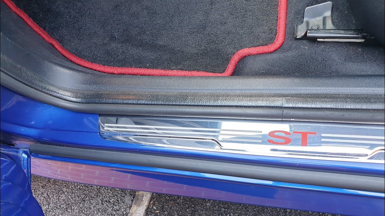 door handle adjustment, leaks and fog light lense replacement