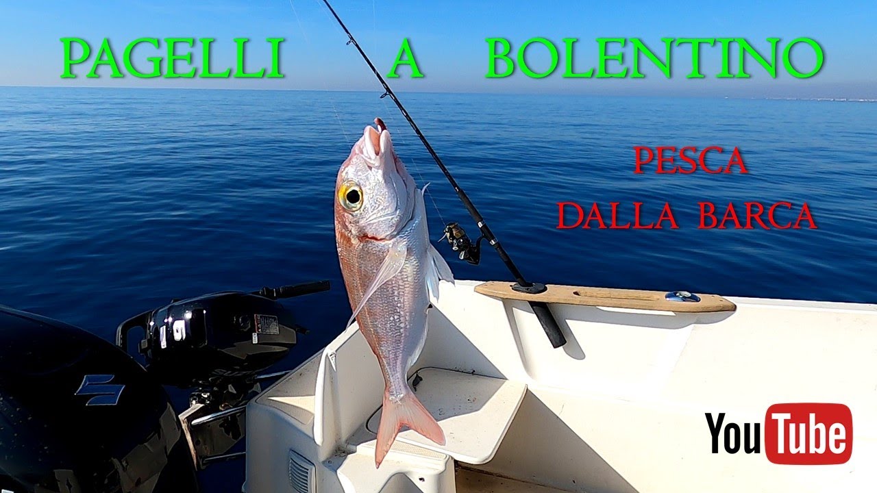 Canna : Pesca a BOLENTINO ai PAGELLI Fragolini dalla barca vicino Roma