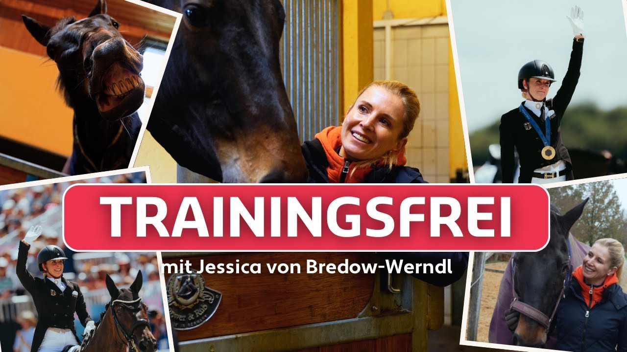 🐴 Zu Besuch bei Jessica von Bredow-Werndl und Dalera in Aubenhausen