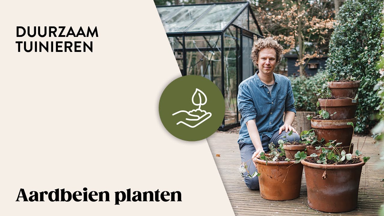 Aardbeien Planten | Duurzaam Tuinieren