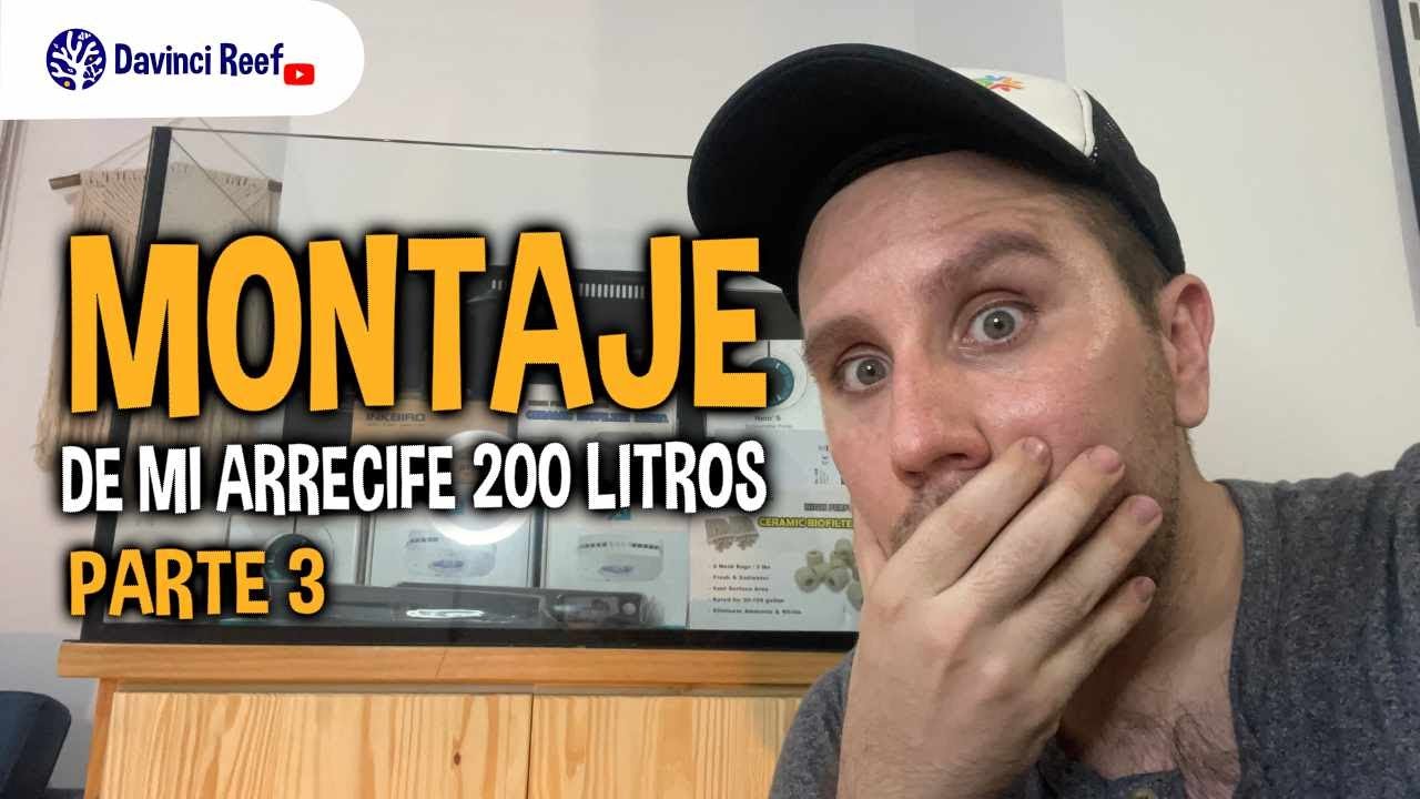 Montando mi pecera de 200 litros. 😱😱😱 - 👉Conoce el estado de mi nueva pecera de arrecife 👈- Parte 3