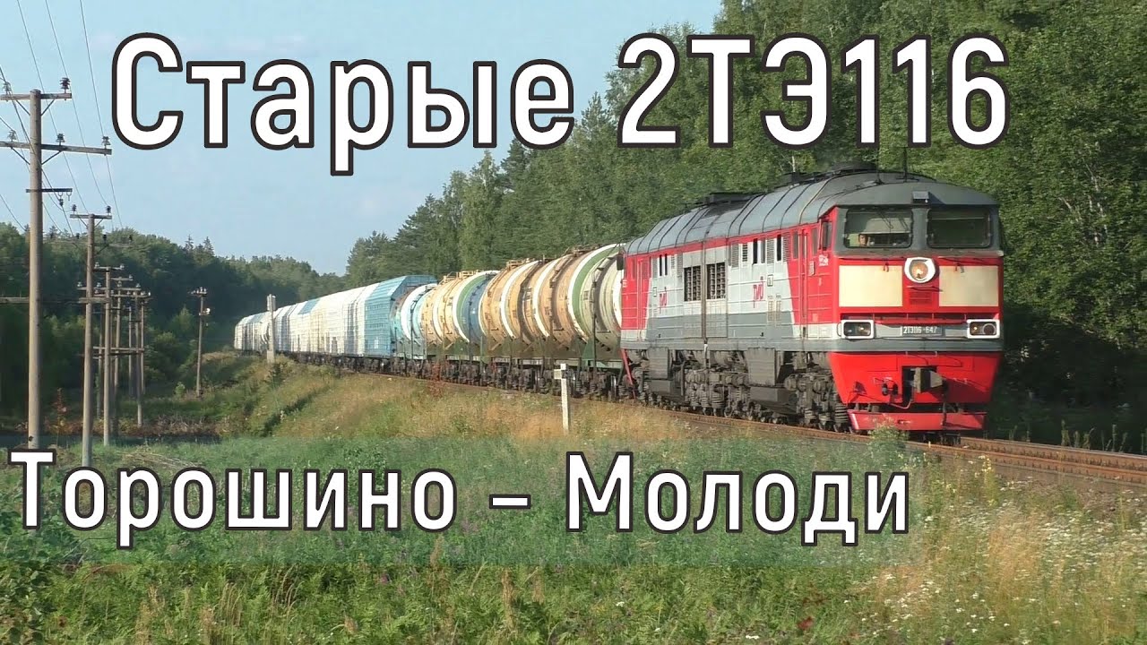 Заменили рельсы. Поезда на перегоне Торошино – Молоди. Июль 2022