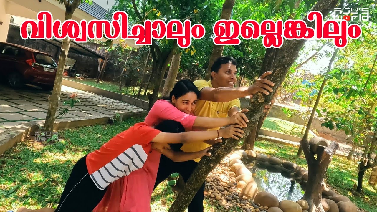 പറഞ്ഞാൽ ആരെങ്കിലും വിശ്വസിക്കുമോ....? /A day in our life /Family vlog /AJU'S WORLD