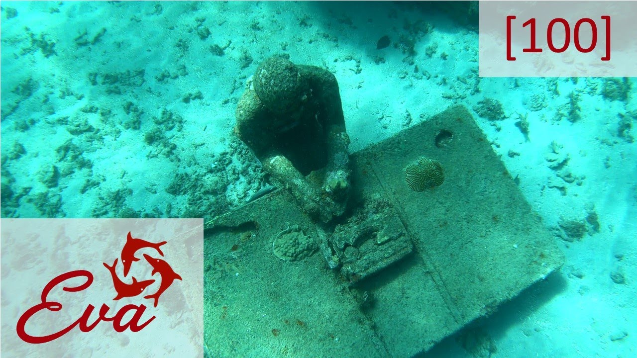 Eva in Grenada - Sailing Eva [100]