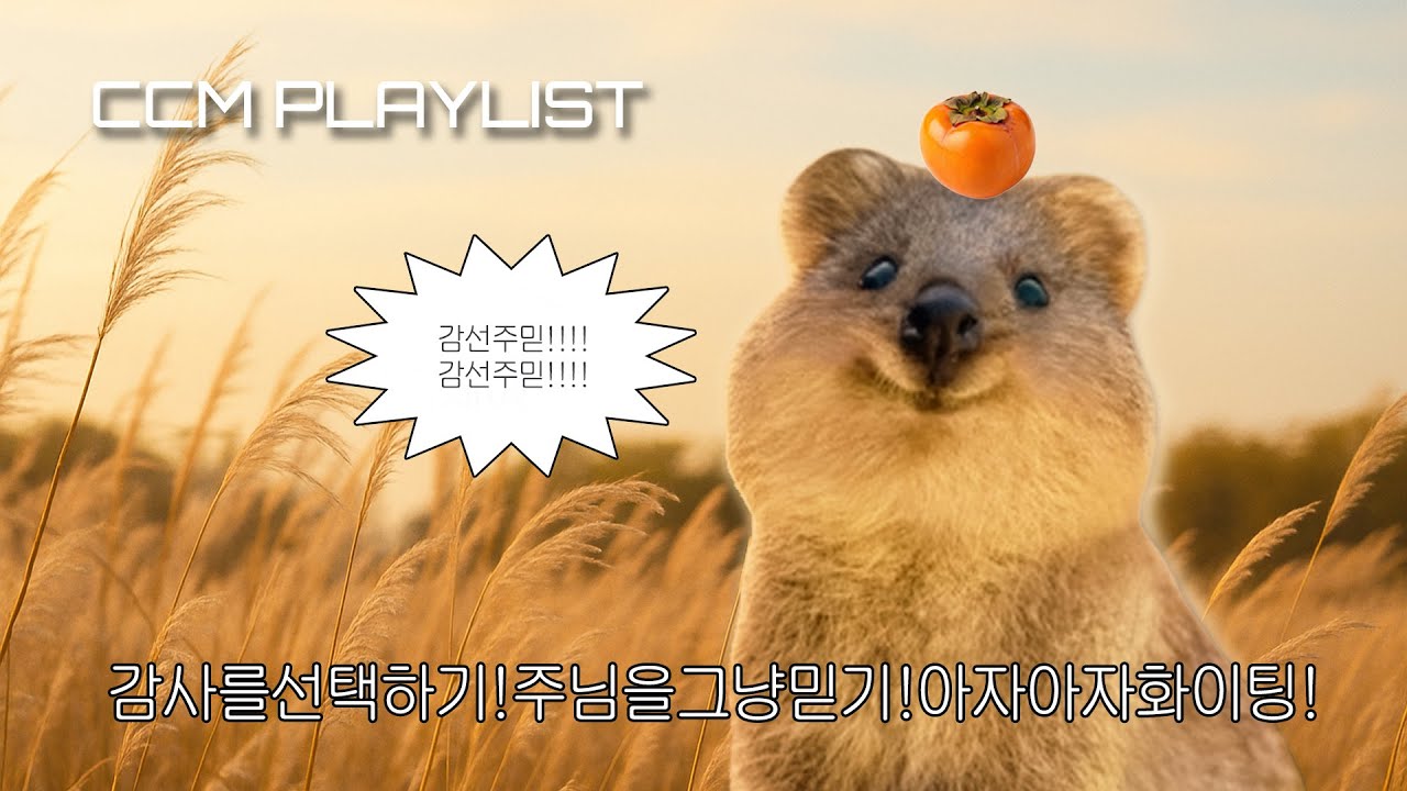 [CCM Playlist] 감사의 축복이 끝이 없네😇🙏🏻  들숨에 믿음을 날숨에 감사를 말하게 되는 플레이리스트🍂🤎 | 감사 찬양 모음🎧