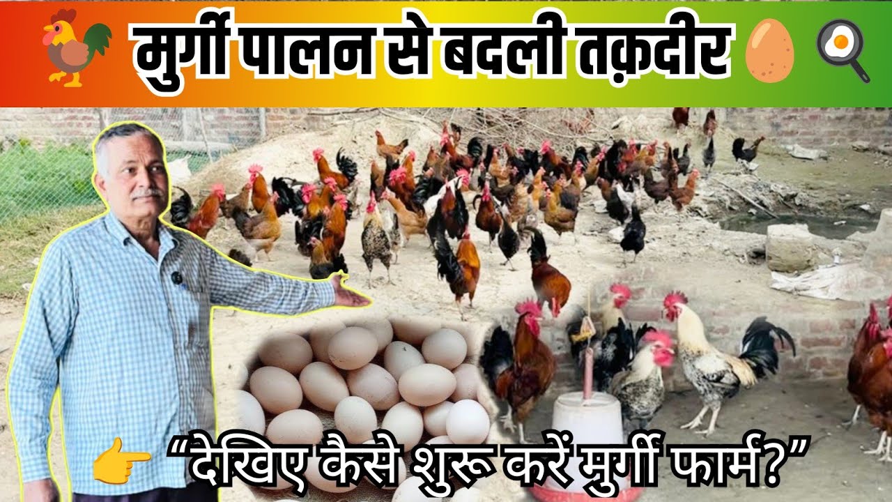 मुर्गी पालन से बदली तक़दीर 👉 “Poultry Farming Changed My Life #farming #poultryfarming #trending