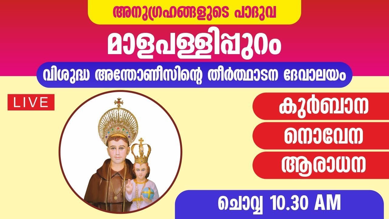 17 FEBRUARY 2026  || 10.30 AM   HOLLYMAS || ST ANTONYS PILGRIM CHURCH, MALAPALLIPURAM